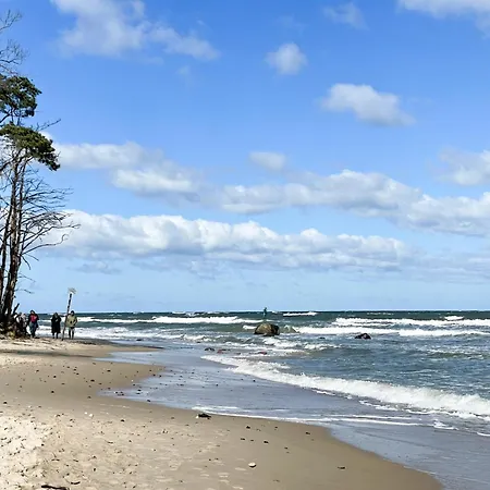 Louisa 46 Stoertebeker In