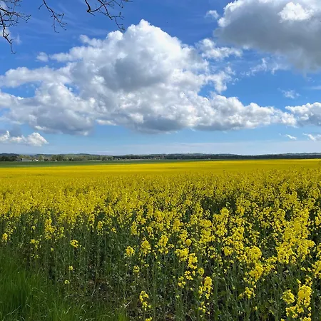Louisa 46 Stoertebeker In * Sellin (Rugen)